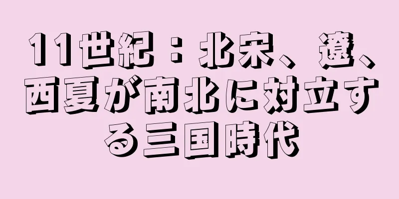 11世紀：北宋、遼、西夏が南北に対立する三国時代