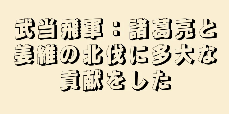 武当飛軍：諸葛亮と姜維の北伐に多大な貢献をした