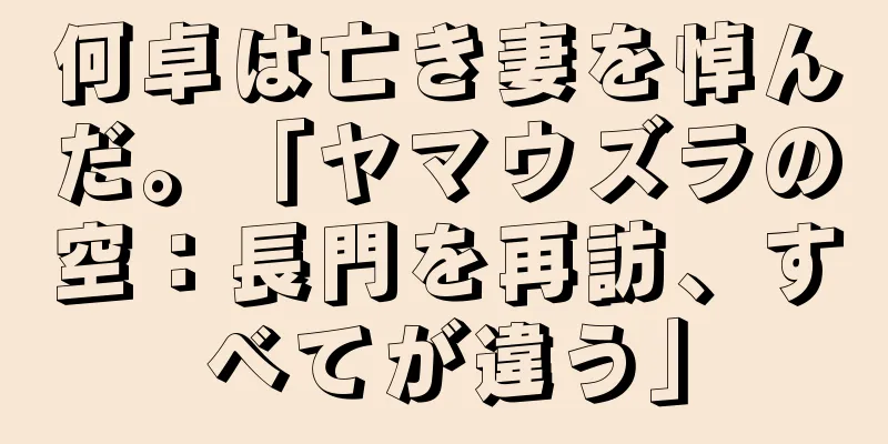 何卓は亡き妻を悼んだ。「ヤマウズラの空：長門を再訪、すべてが違う」