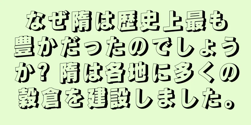 なぜ隋は歴史上最も豊かだったのでしょうか? 隋は各地に多くの穀倉を建設しました。