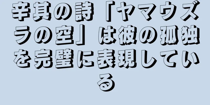 辛其の詩「ヤマウズラの空」は彼の孤独を完璧に表現している