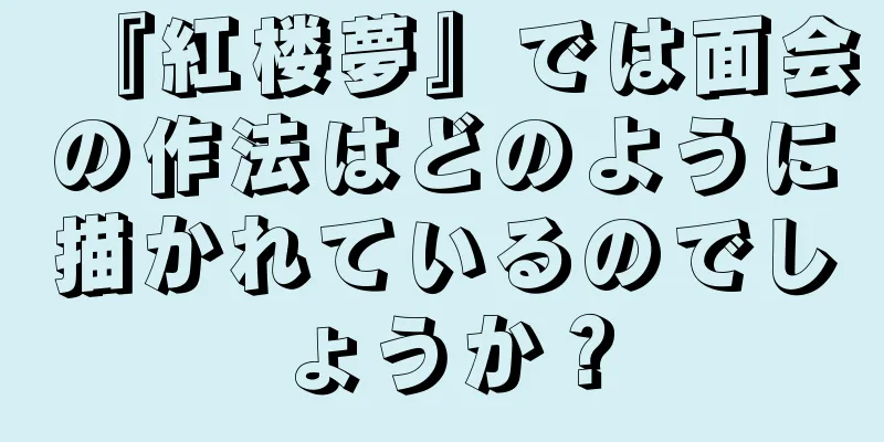 『紅楼夢』では面会の作法はどのように描かれているのでしょうか？