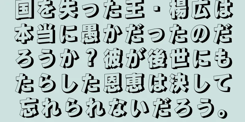 国を失った王・楊広は本当に愚かだったのだろうか？彼が後世にもたらした恩恵は決して忘れられないだろう。