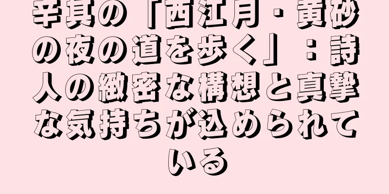 辛其の「西江月・黄砂の夜の道を歩く」：詩人の緻密な構想と真摯な気持ちが込められている
