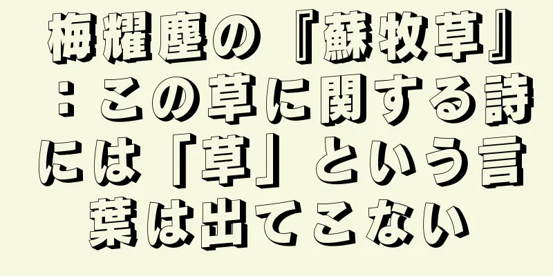 梅耀塵の『蘇牧草』：この草に関する詩には「草」という言葉は出てこない