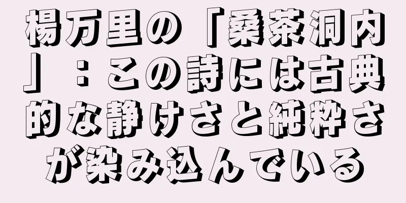 楊万里の「桑茶洞内」：この詩には古典的な静けさと純粋さが染み込んでいる