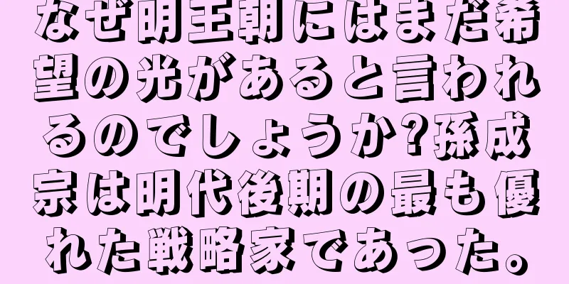 なぜ明王朝にはまだ希望の光があると言われるのでしょうか?孫成宗は明代後期の最も優れた戦略家であった。