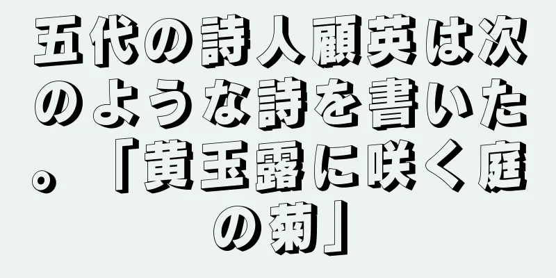 五代の詩人顧英は次のような詩を書いた。「黄玉露に咲く庭の菊」