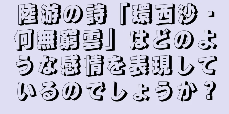 陸游の詩「環西沙・何無窮雲」はどのような感情を表現しているのでしょうか？