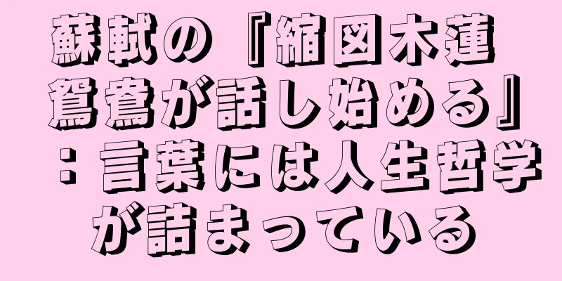 蘇軾の『縮図木蓮 鴛鴦が話し始める』：言葉には人生哲学が詰まっている
