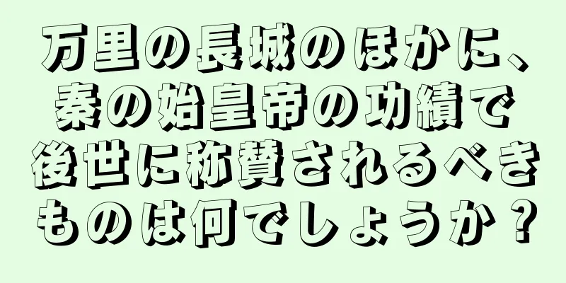 万里の長城のほかに、秦の始皇帝の功績で後世に称賛されるべきものは何でしょうか？