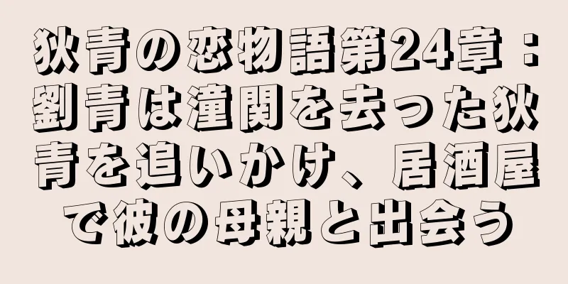 狄青の恋物語第24章：劉青は潼関を去った狄青を追いかけ、居酒屋で彼の母親と出会う