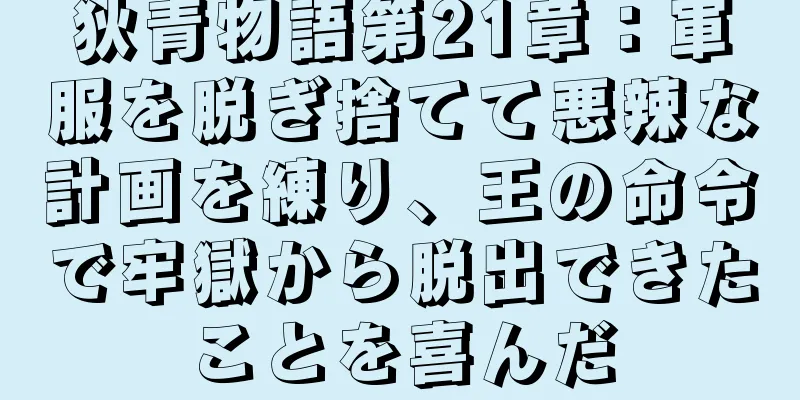 狄青物語第21章：軍服を脱ぎ捨てて悪辣な計画を練り、王の命令で牢獄から脱出できたことを喜んだ