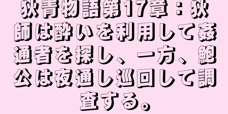 狄青物語第17章：狄師は酔いを利用して姦通者を探し、一方、鮑公は夜通し巡回して調査する。