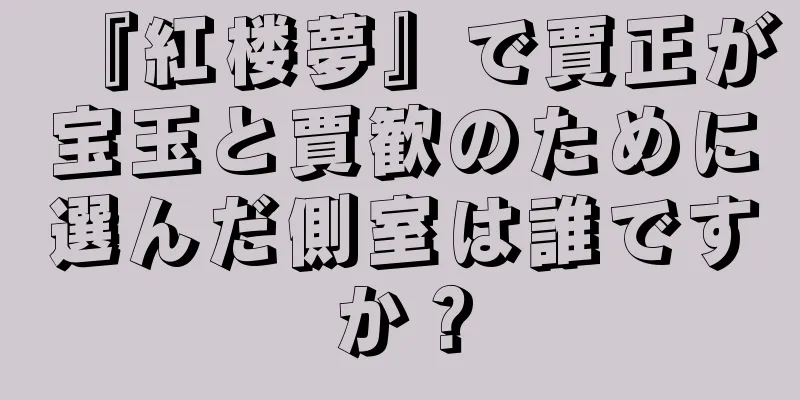 『紅楼夢』で賈正が宝玉と賈歓のために選んだ側室は誰ですか？