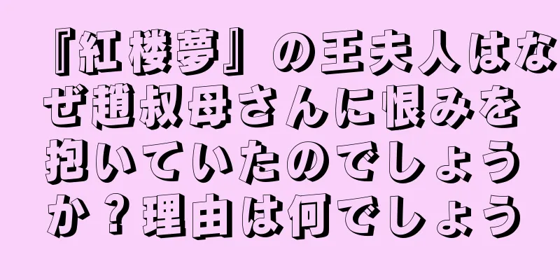 『紅楼夢』の王夫人はなぜ趙叔母さんに恨みを抱いていたのでしょうか？理由は何でしょう