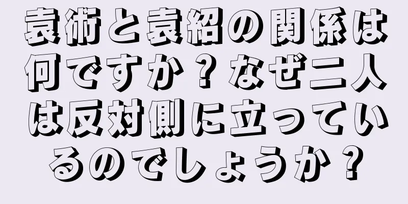 袁術と袁紹の関係は何ですか？なぜ二人は反対側に立っているのでしょうか？