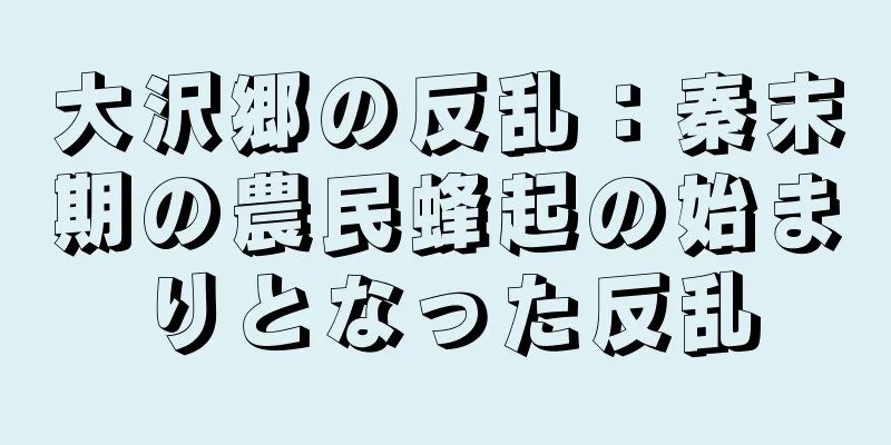 大沢郷の反乱：秦末期の農民蜂起の始まりとなった反乱