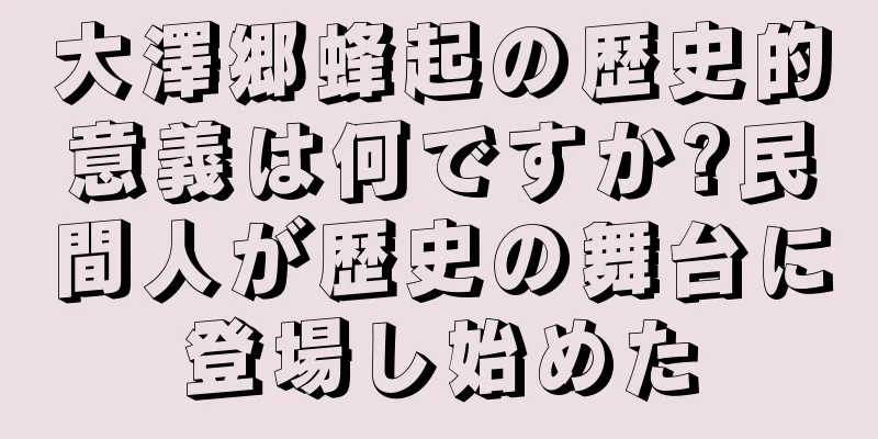 大澤郷蜂起の歴史的意義は何ですか?民間人が歴史の舞台に登場し始めた