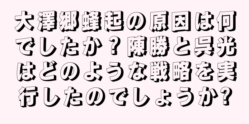 大澤郷蜂起の原因は何でしたか？陳勝と呉光はどのような戦略を実行したのでしょうか?