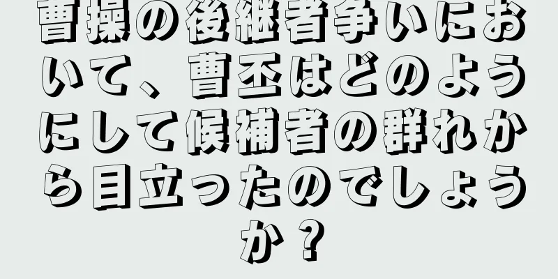 曹操の後継者争いにおいて、曹丕はどのようにして候補者の群れから目立ったのでしょうか？