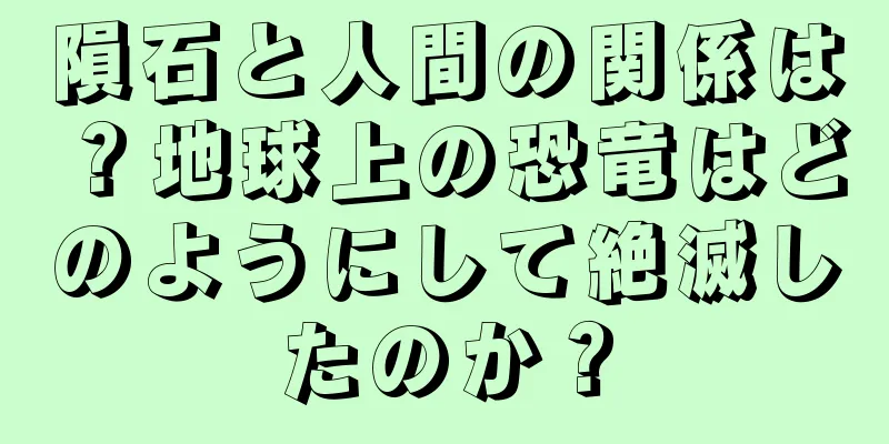 隕石と人間の関係は？地球上の恐竜はどのようにして絶滅したのか？