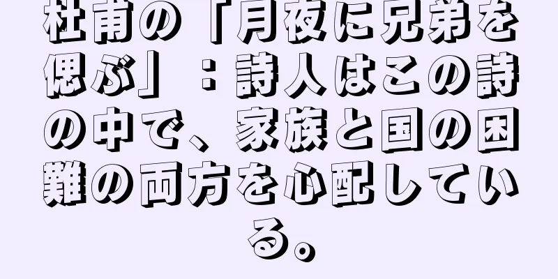 杜甫の「月夜に兄弟を偲ぶ」：詩人はこの詩の中で、家族と国の困難の両方を心配している。