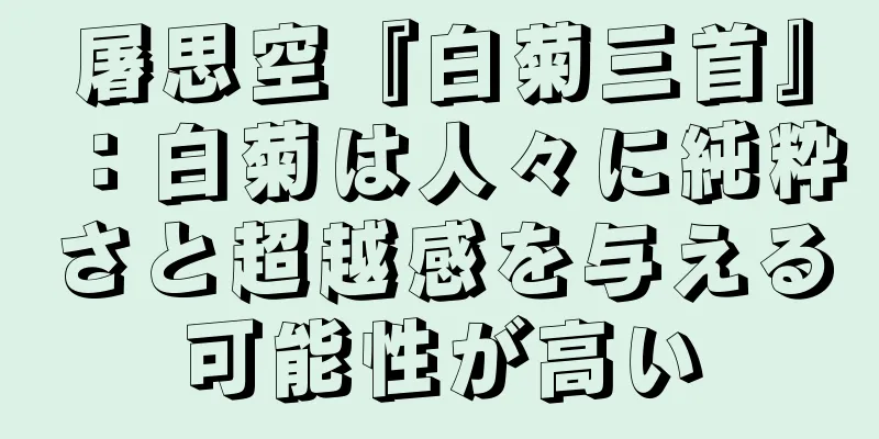 屠思空『白菊三首』：白菊は人々に純粋さと超越感を与える可能性が高い