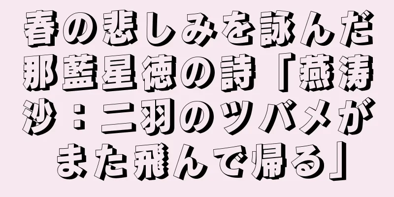春の悲しみを詠んだ那藍星徳の詩「燕涛沙：二羽のツバメがまた飛んで帰る」