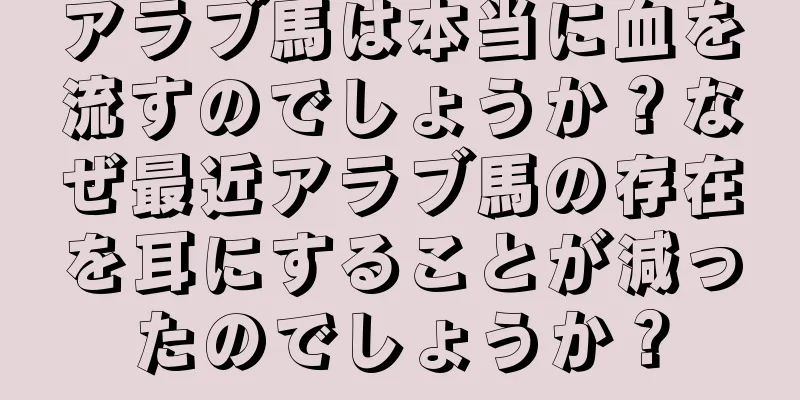 アラブ馬は本当に血を流すのでしょうか？なぜ最近アラブ馬の存在を耳にすることが減ったのでしょうか？