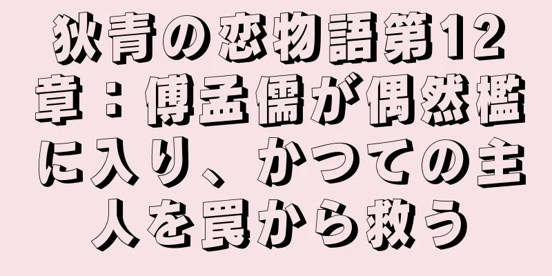 狄青の恋物語第12章：傅孟儒が偶然檻に入り、かつての主人を罠から救う