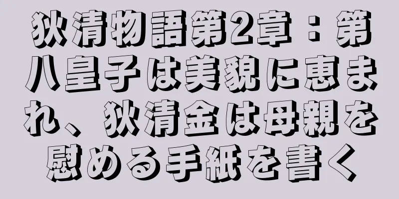狄清物語第2章：第八皇子は美貌に恵まれ、狄清金は母親を慰める手紙を書く