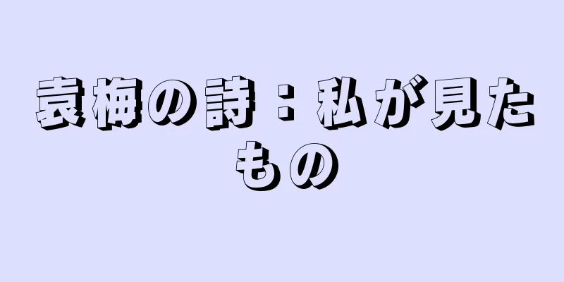 袁梅の詩：私が見たもの