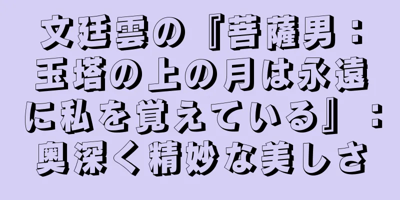 文廷雲の『菩薩男：玉塔の上の月は永遠に私を覚えている』：奥深く精妙な美しさ