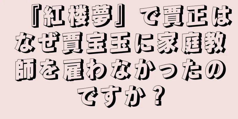 『紅楼夢』で賈正はなぜ賈宝玉に家庭教師を雇わなかったのですか？
