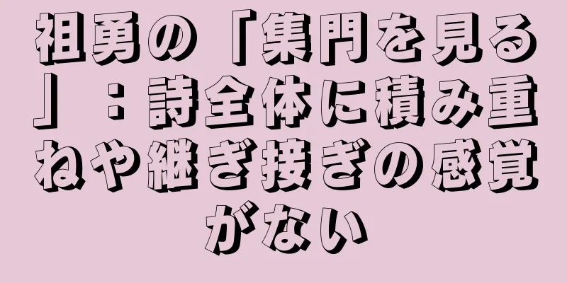 祖勇の「集門を見る」：詩全体に積み重ねや継ぎ接ぎの感覚がない