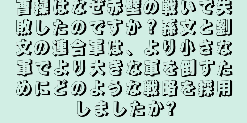 曹操はなぜ赤壁の戦いで失敗したのですか？孫文と劉文の連合軍は、より小さな軍でより大きな軍を倒すためにどのような戦略を採用しましたか?