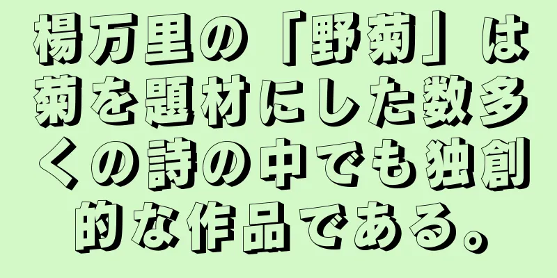 楊万里の「野菊」は菊を題材にした数多くの詩の中でも独創的な作品である。