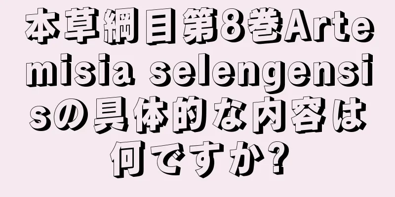 本草綱目第8巻Artemisia selengensisの具体的な内容は何ですか?