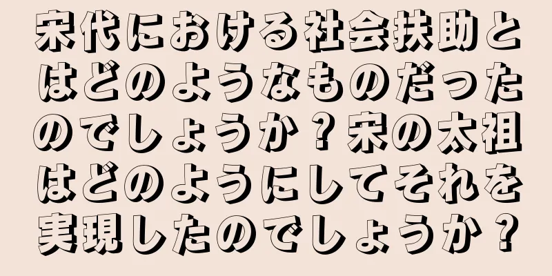 宋代における社会扶助とはどのようなものだったのでしょうか？宋の太祖はどのようにしてそれを実現したのでしょうか？