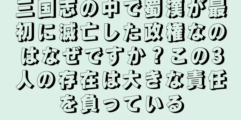 三国志の中で蜀漢が最初に滅亡した政権なのはなぜですか？この3人の存在は大きな責任を負っている