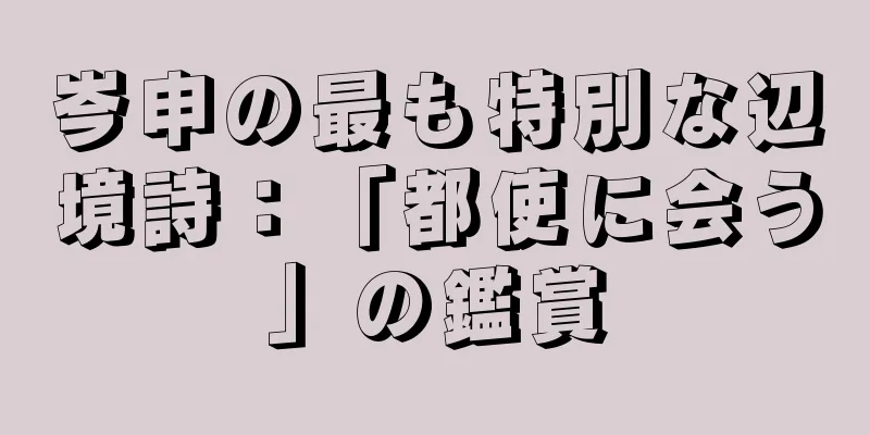 岑申の最も特別な辺境詩：「都使に会う」の鑑賞