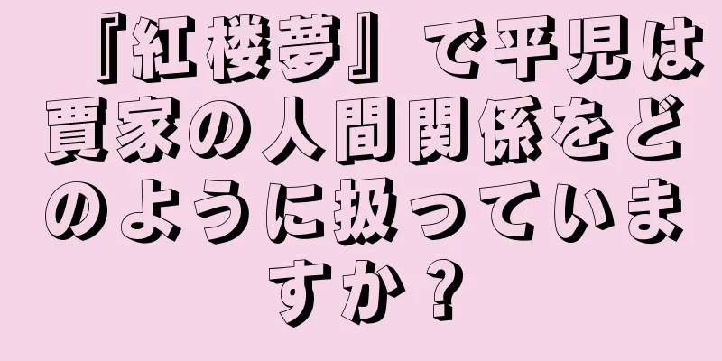 『紅楼夢』で平児は賈家の人間関係をどのように扱っていますか？