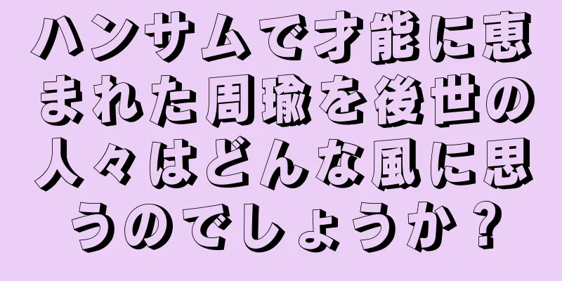 ハンサムで才能に恵まれた周瑜を後世の人々はどんな風に思うのでしょうか？