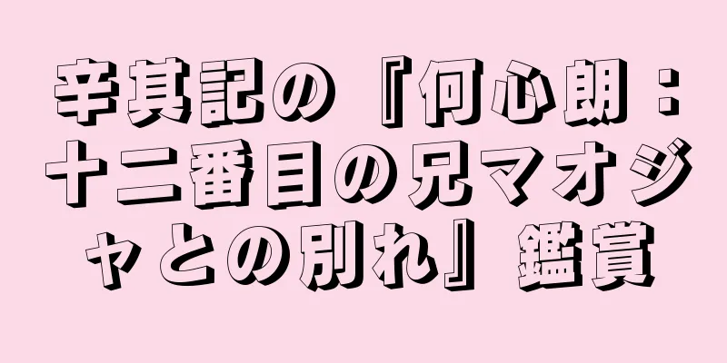 辛其記の『何心朗：十二番目の兄マオジャとの別れ』鑑賞