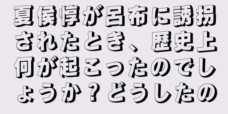夏侯惇が呂布に誘拐されたとき、歴史上何が起こったのでしょうか？どうしたの