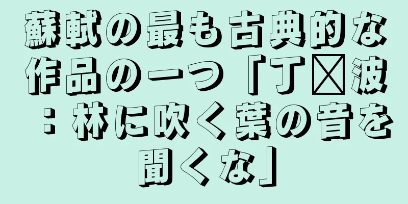 蘇軾の最も古典的な作品の一つ「丁风波：林に吹く葉の音を聞くな」