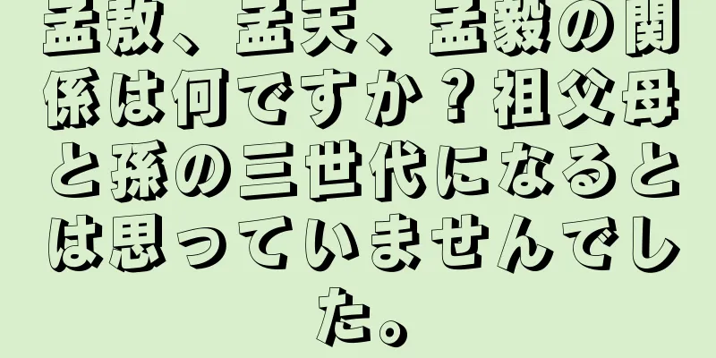 孟敖、孟天、孟毅の関係は何ですか？祖父母と孫の三世代になるとは思っていませんでした。