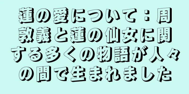 蓮の愛について：周敦義と蓮の仙女に関する多くの物語が人々の間で生まれました