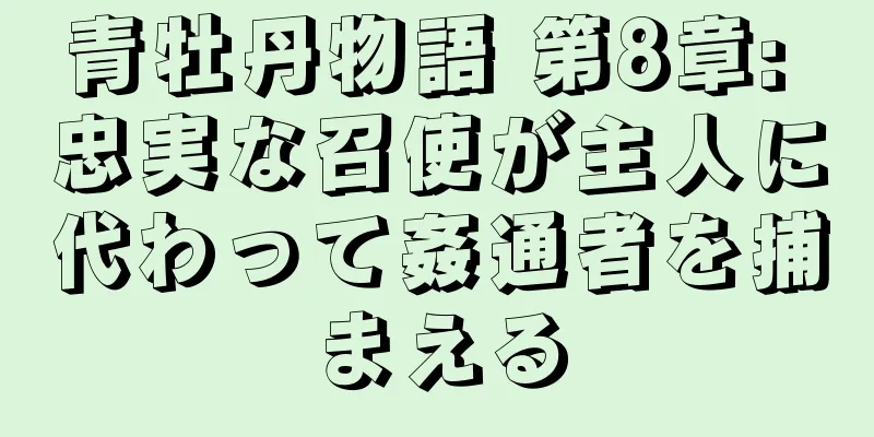 青牡丹物語 第8章: 忠実な召使が主人に代わって姦通者を捕まえる